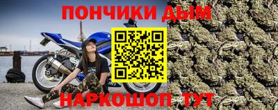 индика Нальчик