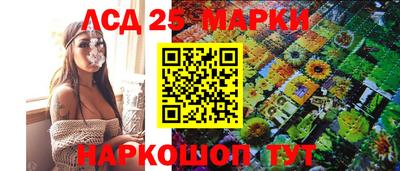 индика Нальчик