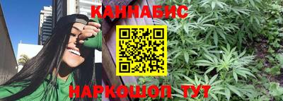 индика Нальчик