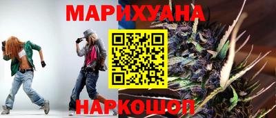 индика Нальчик